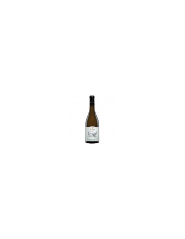 VINO BLANCO SECO"RKASITELI KVERVI ASKANELI" 13%,750ML